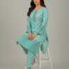 Sky Green Printed Karandi 2-Piece Suit
