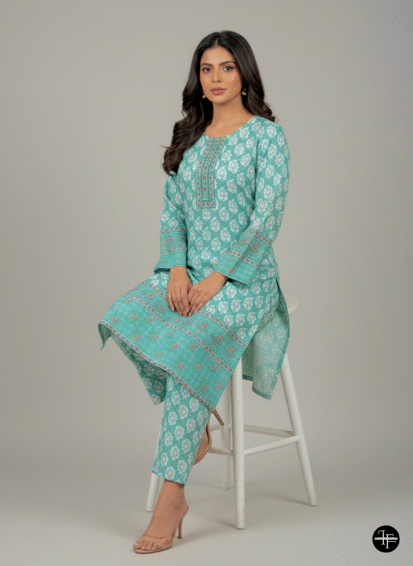 Sky Green Printed Karandi 2-Piece Suit