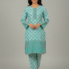 Sky Green Printed Karandi 2-Piece Suit